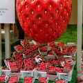 Strawberries and raspberries